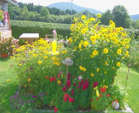 Enjoy your holiday in the contemplative Böbrach in ArberLand near Bodenmais.