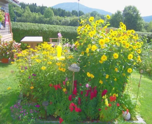 Enjoy your holiday in the contemplative Böbrach in ArberLand near Bodenmais. Hotel a Bobrach