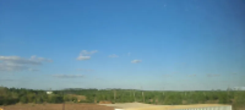 Cuckoo’s nest tiny house: Amazing experience<br>