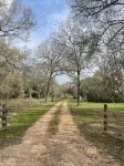 Country Getaway - Lazy Rooster