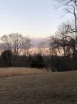 Glamping with sheep in a renovated 1972 Ace camper on 48 acres