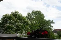 Vacation apartment "Schöne Auszeit" in Pirna, the "Gateway to Saxon Switzerland" Hotels in Pirna