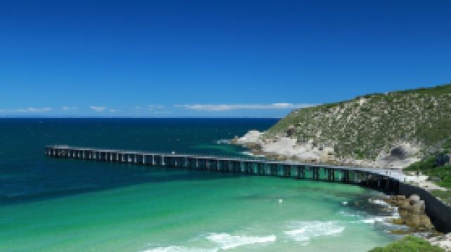 Driftaway -WIFI, NETFLIX, pet friendly, Comfort + Undercover deck with hammock