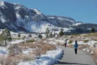 Cozy retreat. Walk to town / shuttle. 5 min drive to ski lifts and parks.