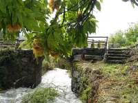 Cottage "La Calleja" in Gredos