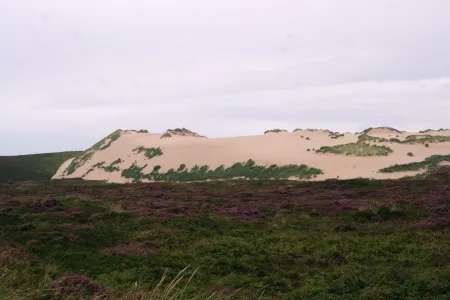 You live quietly and centrally. You can walk to the beach in about 5 minutes.