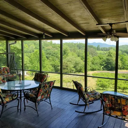 Mountain view cabin, fully remodeled, huge screen in porch with panoramic view.