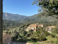 Attractive 50 m2 T2 apartment in the hamlet of Eccica