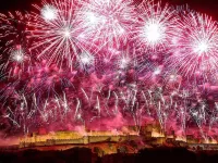 Single-storey house with garden in residential area
