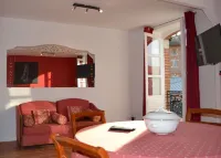 L'enfant de Bohème d'ALBI, appartment 1 room, city center