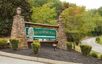 Mtn Cabin with Hot Tub, pool table, arcade, smartTVs, fast FiWi, great location!
