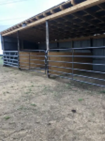 Cedar Ridge Log Cabin on 14 acres - Pet Friendly!