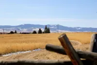 20+ Acres of Peace @ The Saratoga Hoemstead