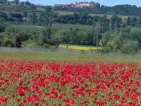 Charming house classified 4 stars in Luberon Protected Natural Regional Park Hotels in Roussillon