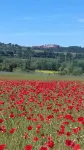 Charming house classified 4 stars in Luberon Protected Natural Regional Park