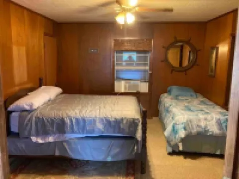 Blue Heron 2/1 Near the Boat Ramp