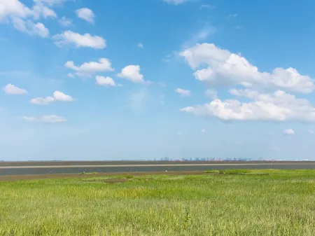 Wattkante Burhave, Apartment Ebbe & Flut: Danish stove, 70 sqm, near the beach