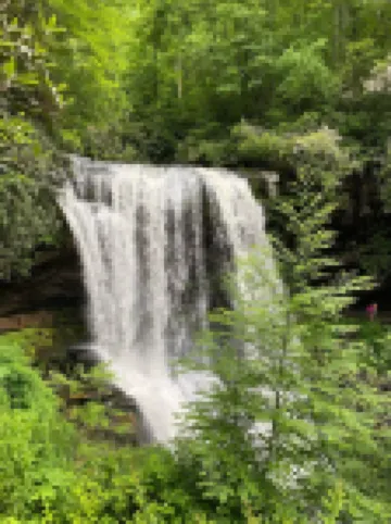 One bedroom cabin in Highlands, NC on a creek close to everything!