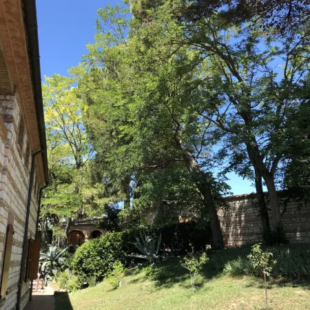Cottage in the green, a stone's throw from the sea