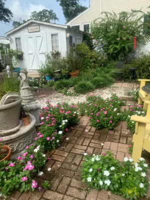 Cottage/Tiny House Living Accommodation in Beaufort for Cost-conscious Traveler Hotels near Chocolate Tree