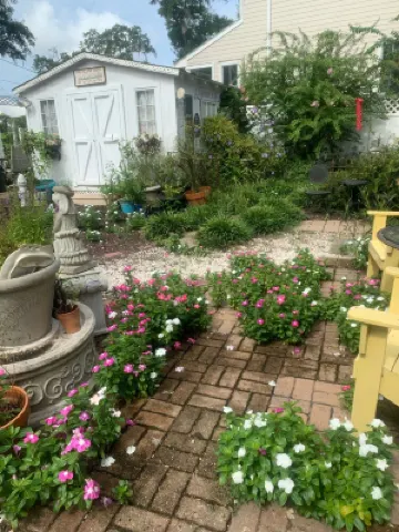 Cottage/Tiny House Living Accommodation in Beaufort for Cost-conscious Traveler