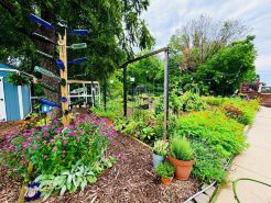 Green Cottage Farm Stay & Food