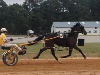 Tanglewood Farm  - Tally Ho Suite 1 Br/1BA Private Apartment on Horse Farm