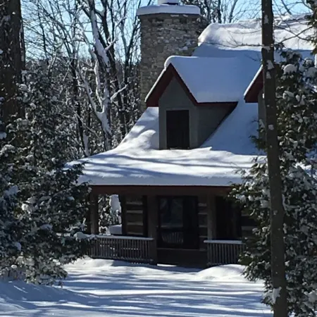 Cabin With Modern Kitchen, Fireplace, Porch! 20% weekly discount Feb-Apr!