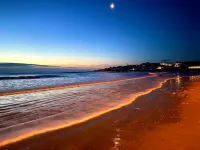 Moody Maine Beautiful 3 Bedroom Home Walk to Beach  Restaurants & Trolley Line