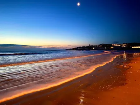 Moody Maine Beautiful 3 Bedroom Home Walk to Beach  Restaurants & Trolley Line