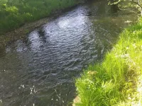 Cottage on the Selke, pure nature Hotels in Falkenstein