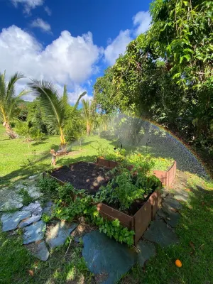 Cozy cottage nestled on our 5 acre Organic fruit farm Hotels near Wai'anapanapa State Park