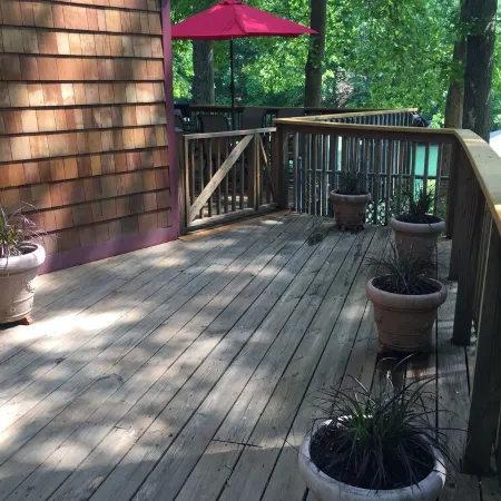 Quiet cove, deep water, minutes to Clemson, pet friendly, easy path to the dock