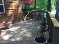 Quiet cove, deep water, minutes to Clemson, pet friendly, easy path to the dock