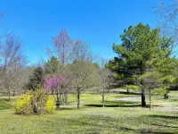 Pet friendly cabin in quiet Plainview with WiFi, AC Hotels in Plainview