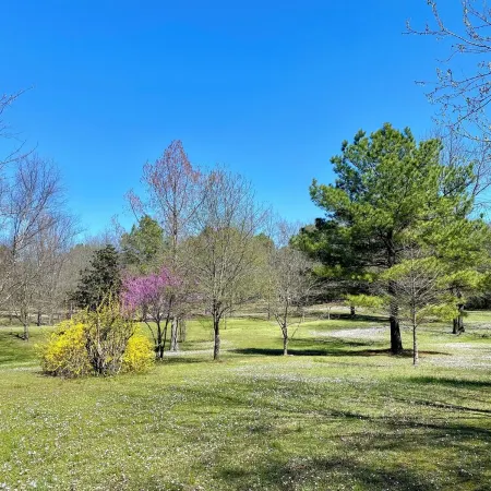 Cheerful cabin with KING bed and WiFi, AC in charming Plainview