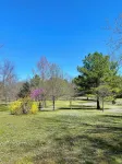 Pet friendly cabin in quiet Plainview with WiFi, AC