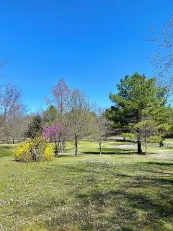 Cheerful cabin with KING bed and WiFi, AC in charming Plainview