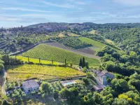Cerretino Vigna