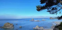 Sparkling Clean, Private & Quiet! Amazing Ocean Views [4]