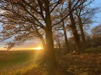 Warwickshire Woodland Glamping Cabin - Oak 沃裡克住宿飯店