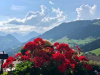 Bergwald Appartements Alpbach - con vistas a la montaña