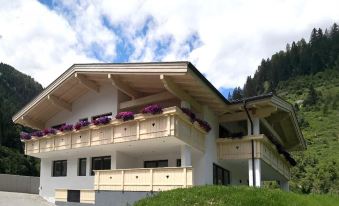 Apartment in Stubai Alps with SuperCard