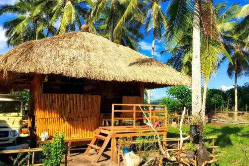 Musa Homestay - 2-Star