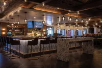 Palm Garden Hotel - bar
