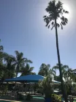 Lani's Holiday Island - Pools