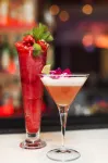Elite Park Avenue Hotel - Barer
