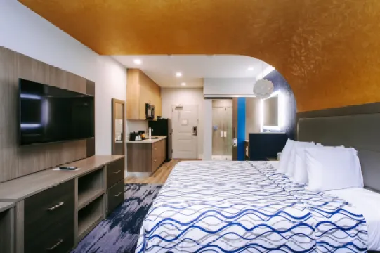 Palace Inn Blue Houston East Beltway 8 Hotels in 