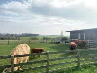 Orchard House Lodges by Ecohuman Hotels in Aberlady