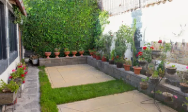 Colibrí Inn Hotels in 